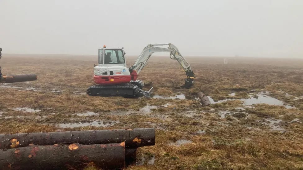 Image from the original article "Dartmoor’s Peat Bogs Begin to Flourish Again Thanks to Restoration Efforts" (description needed)