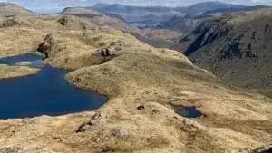 Image from the original article "Keswick MRT called out to check on a abandoned bag" (description needed)