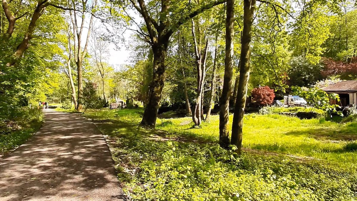 Image from the original article "Swansea’s new cycling and walking path is now open" (description needed)