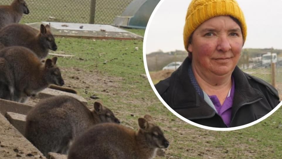 Hope for Fancy's Farm as campsite planning permission enters final stages (Image: Cristiano Magaglio)