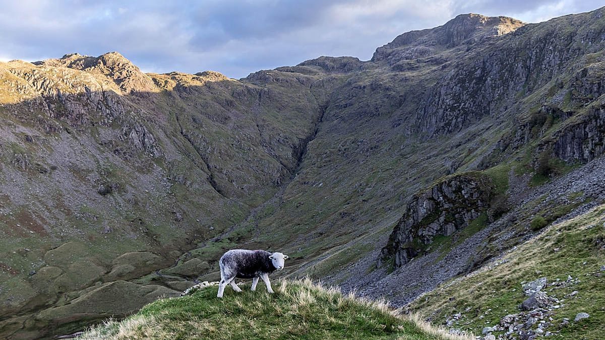 The incident happened in Combe Gill. Photo: Keswick MRT