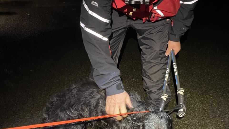 The mountain rescue team with the dog (Image: Wasdale MRT)