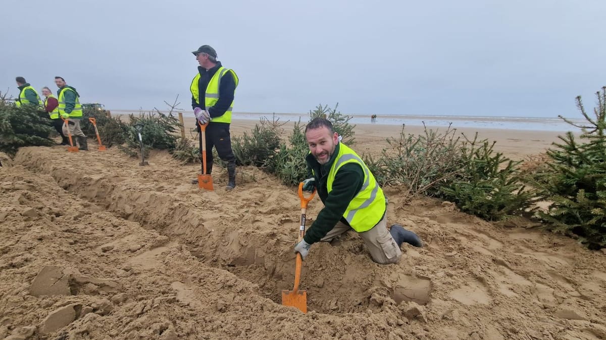Paul Whitehead first volunteered on the Christmas tree project a decade ago Image Source: Skynews