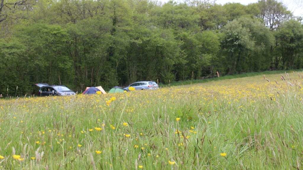 Image from the original article "Get Back to Basics with Primitive Camping: A Beginner’s Guide" (description needed)