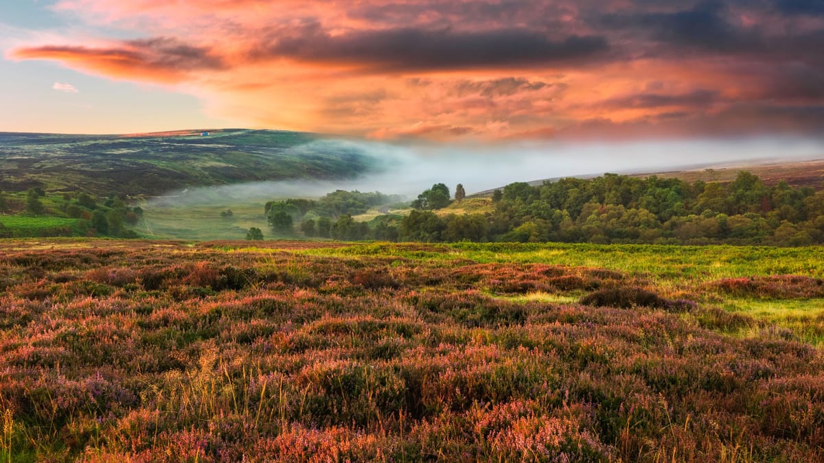 Dawn mist over the North York Moors, Yorkshire, UK.
