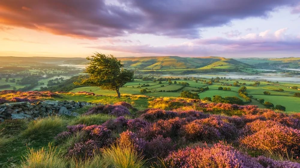 Image Source: Countryfile