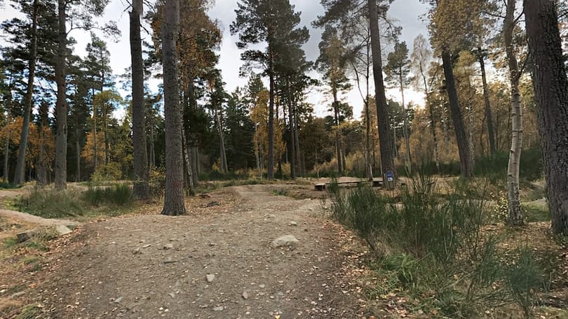 A rescue team was sent to the Drummy Woods