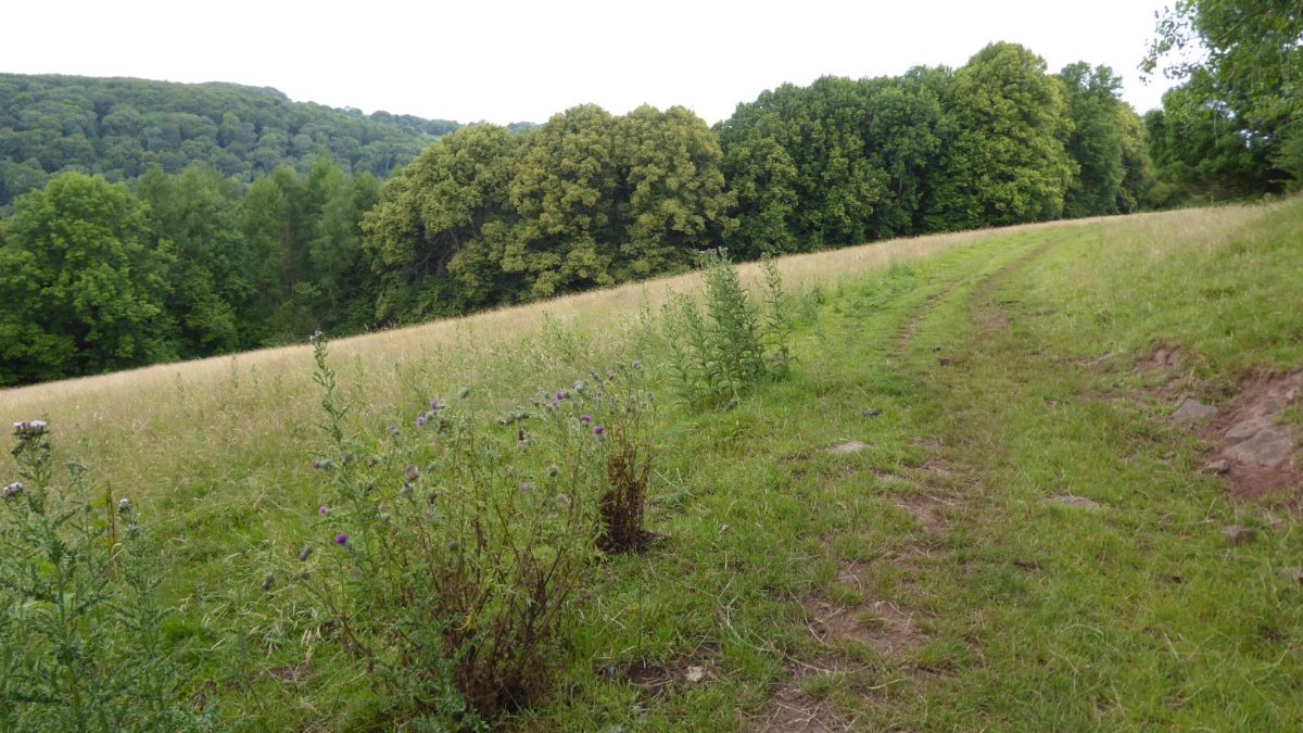 Offa's Dyke Path