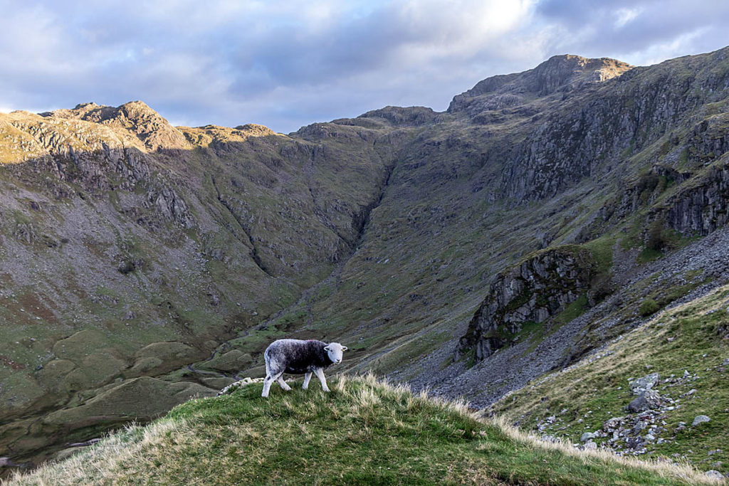 The incident happened in Combe Gill. Photo: Keswick MRT