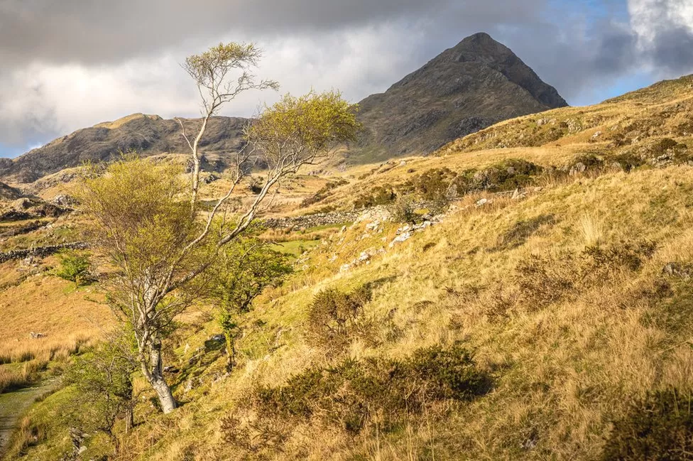 The summit of Cnicht, a mountain in the Moelwynion