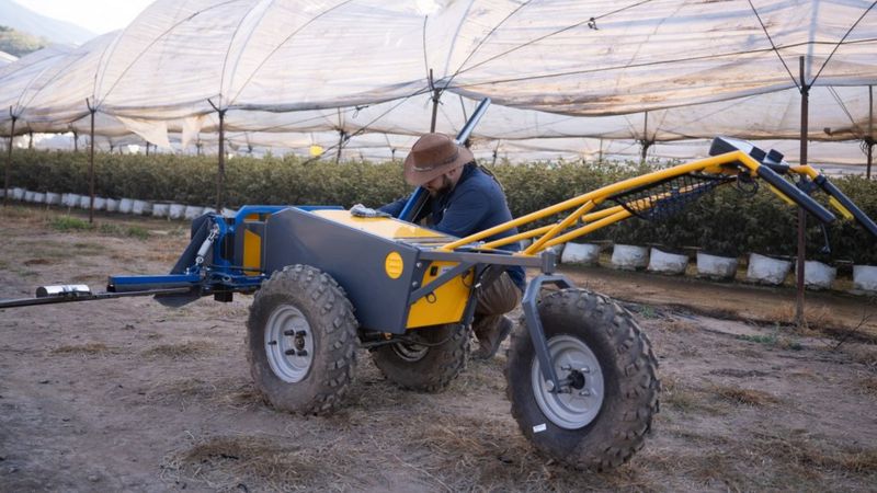 BloomX's technology is now being used on farms in various parts of the world