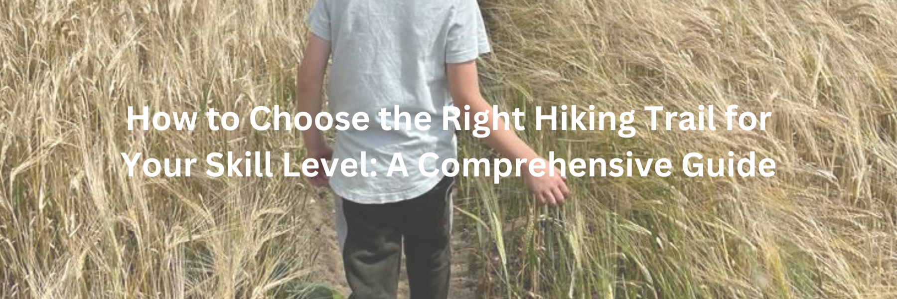 How to Choose the Right Hiking Trail for Your Skill Level A Comprehensive Guide