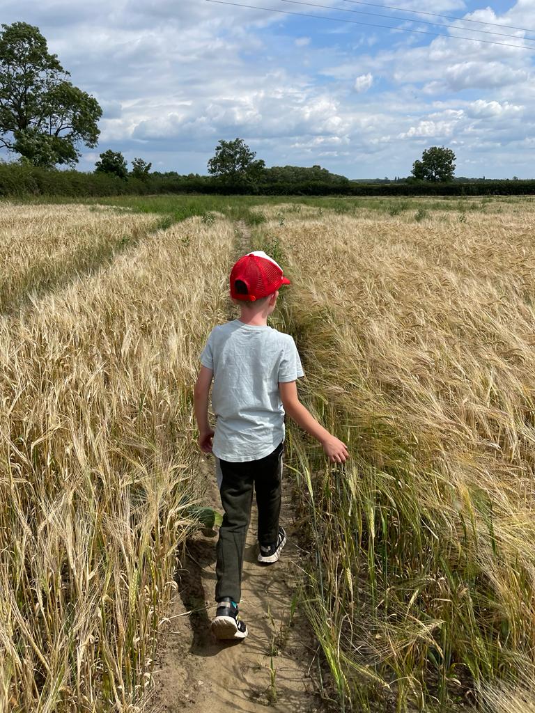 Andy and Carter going for a walk in famers field