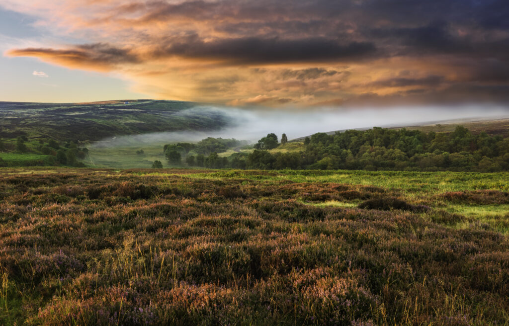 Dawn mist over the North York Moors, Yorkshire, UK.